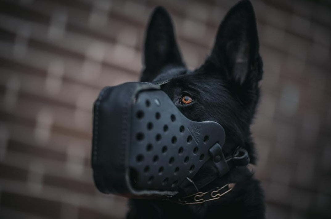 Muzzles