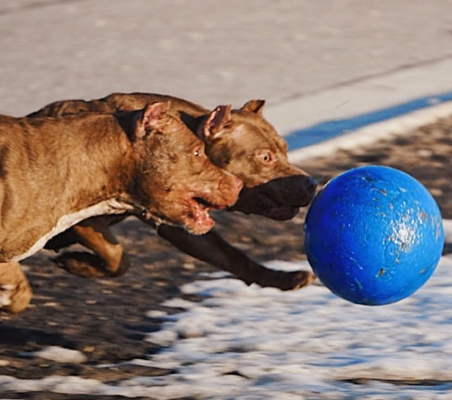 Ball Toys
