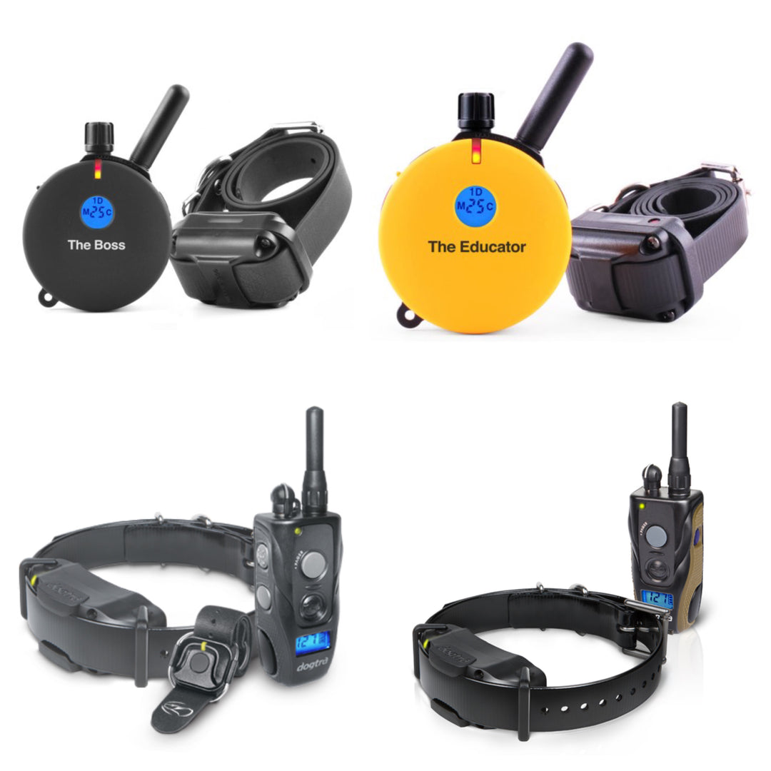 E-Collars