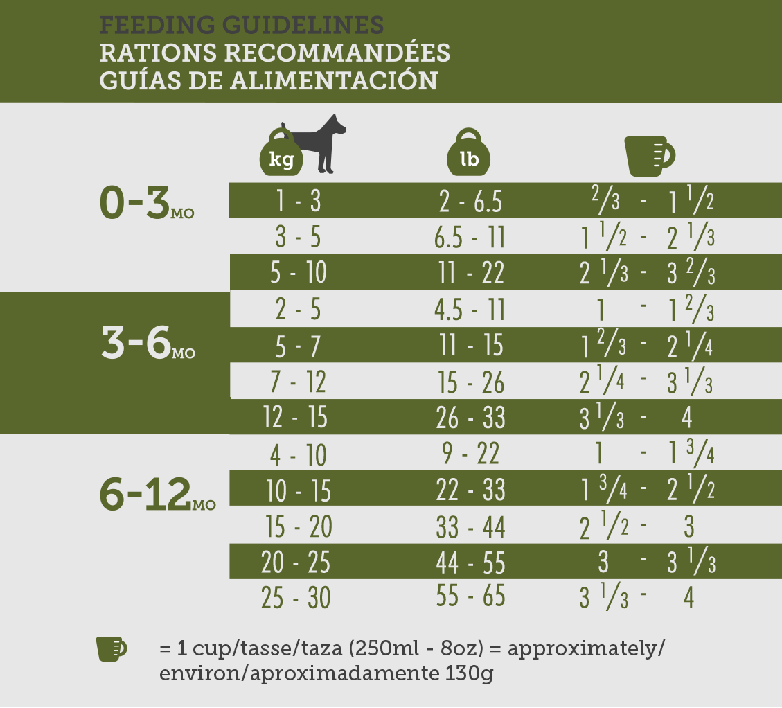 Inukshuk 26/16 GK9 Gear