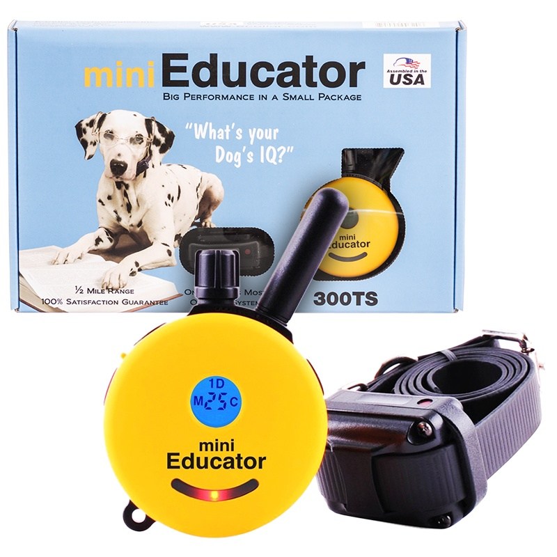 mini EDUCATION: ET 300