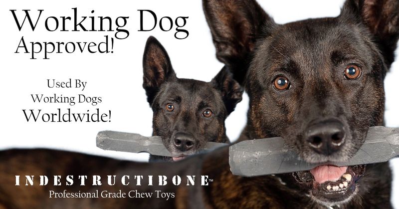 Indestructibone reviews cheap
