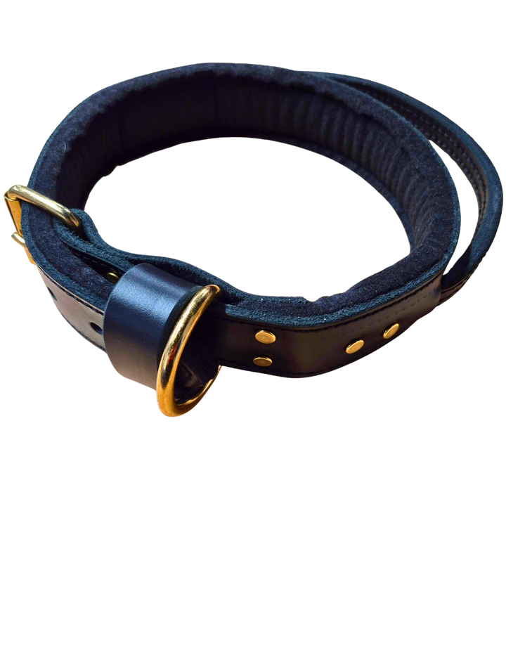 Leather agitation collar w/Handle