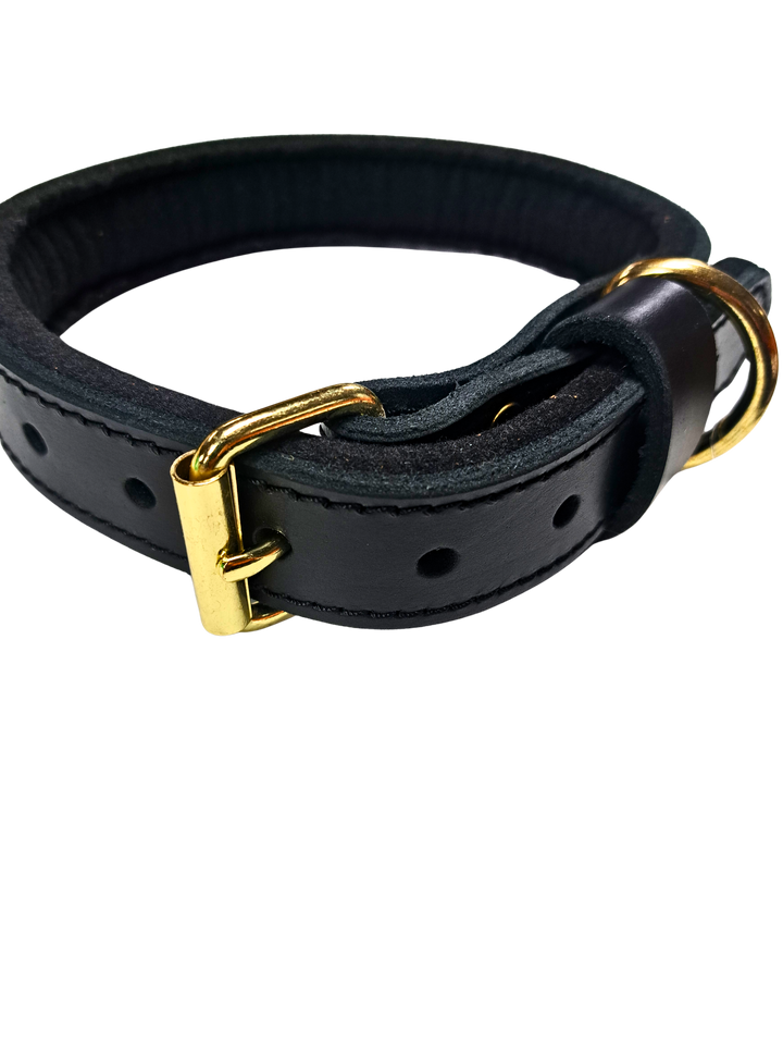 Agitation Collar with Padding