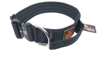 2" nylon collar w/ cobra buckle