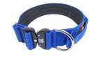 2" nylon collar w/ cobra buckle