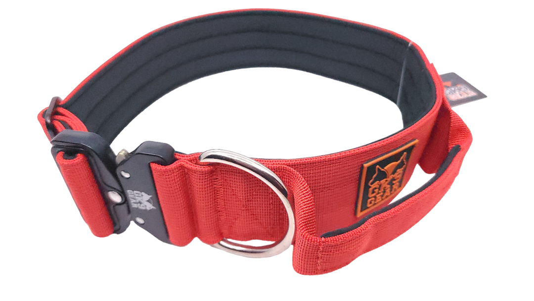 2" nylon collar w/ cobra buckle