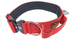 2" nylon collar w/ cobra buckle