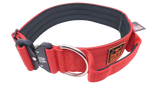 2" nylon collar w/ cobra buckle