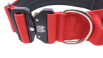 2" nylon collar w/ cobra buckle