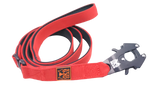 2" X 6ft Nylon leash