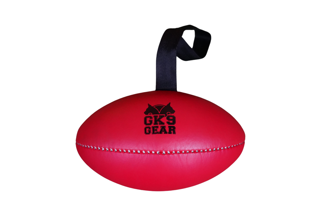 soft leather puppy rugby ball