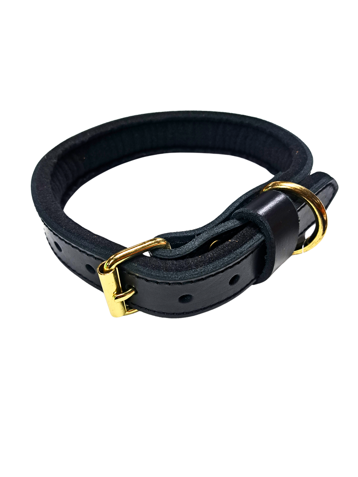 Agitation Collar with Padding
