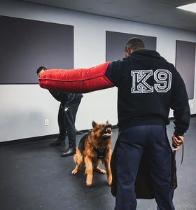 K9 dog equipment hot sale