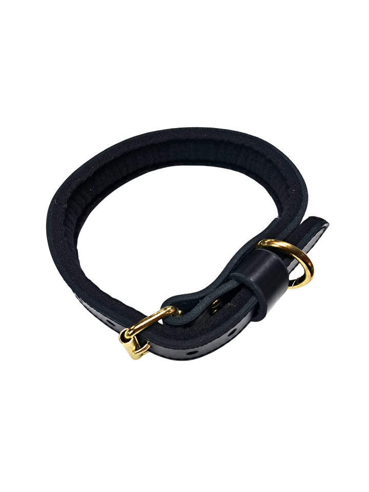Agitation Collar with Padding