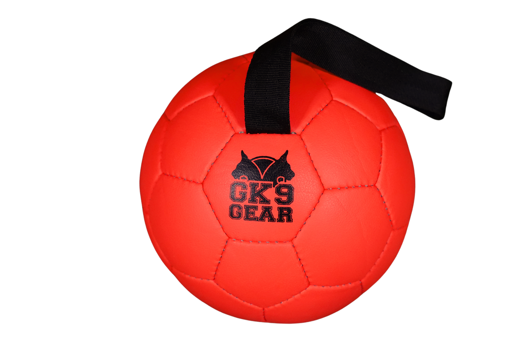 soft leather puppy soccer ball
