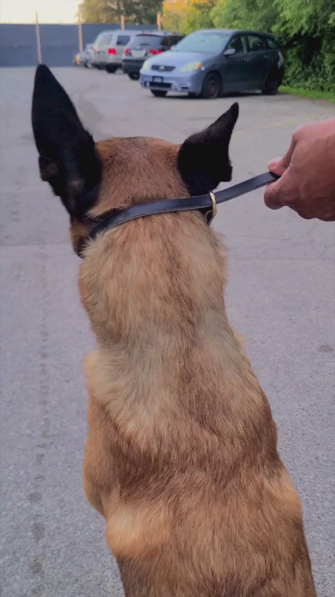 Leather Slip lead