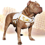 X Dog: Milk & Honey Designer Fitness Vest