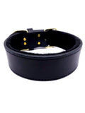 GK9 Agitation Collar with Padding