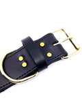 GK9 Agitation Collar with Padding