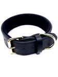 GK9 Agitation Collar with Padding