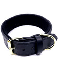 GK9 Agitation Collar with Padding