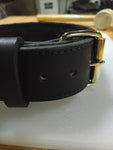 GK9 Agitation Collar with Padding