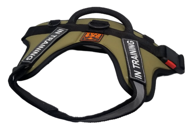 Green Service Nylon Dog Harness for Any Weather with Reflective Strap