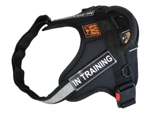 Black Service Nylon Dog Harness for Any Weather with Reflective Strap