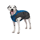 Chinook Dog Coat