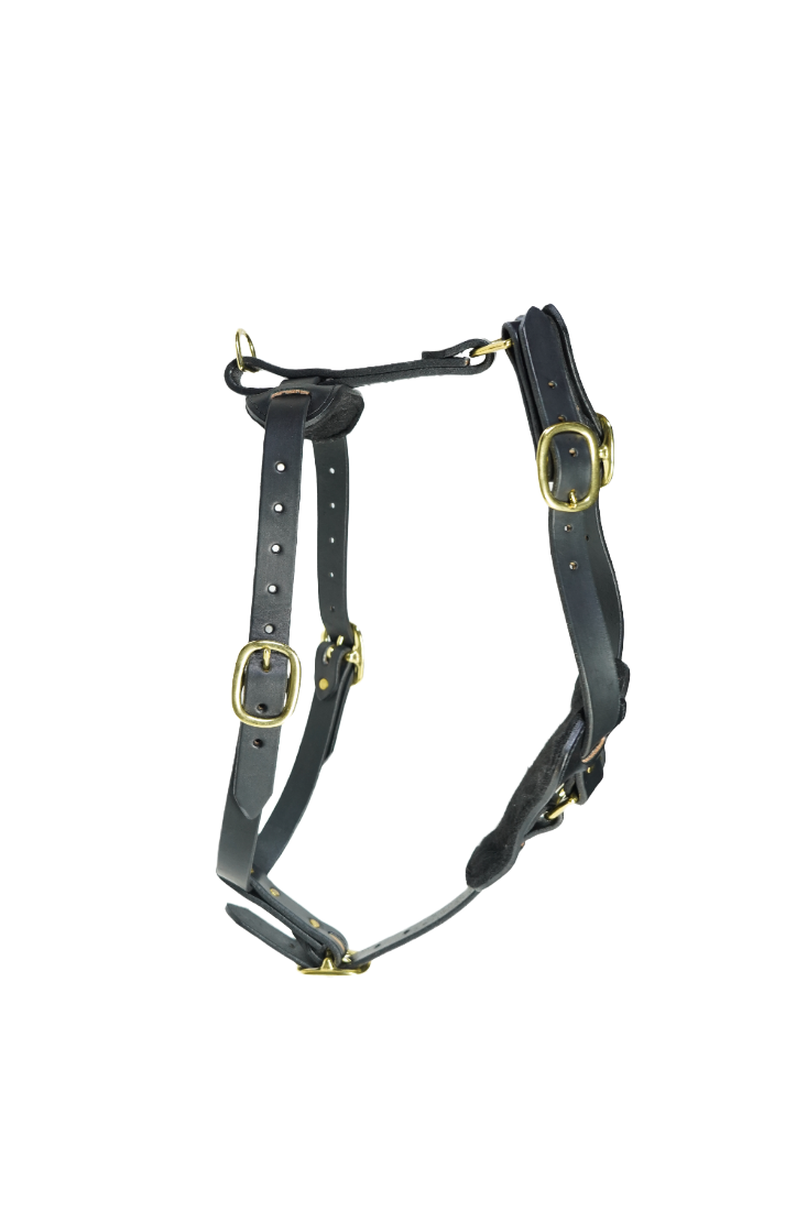 GK9 Protection Harness – Black Padded chest