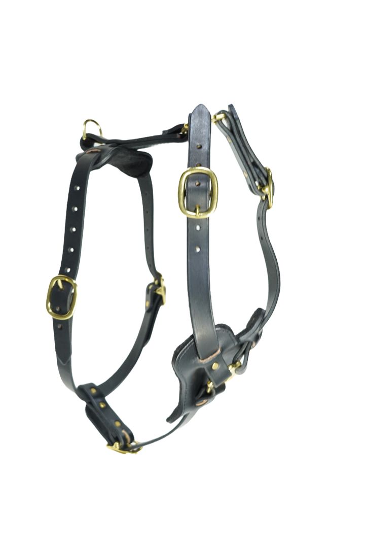 GK9 Protection Harness – Black Padded chest