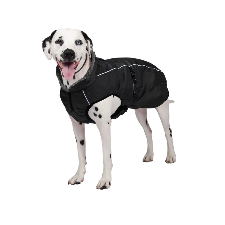 Chinook Dog Coat