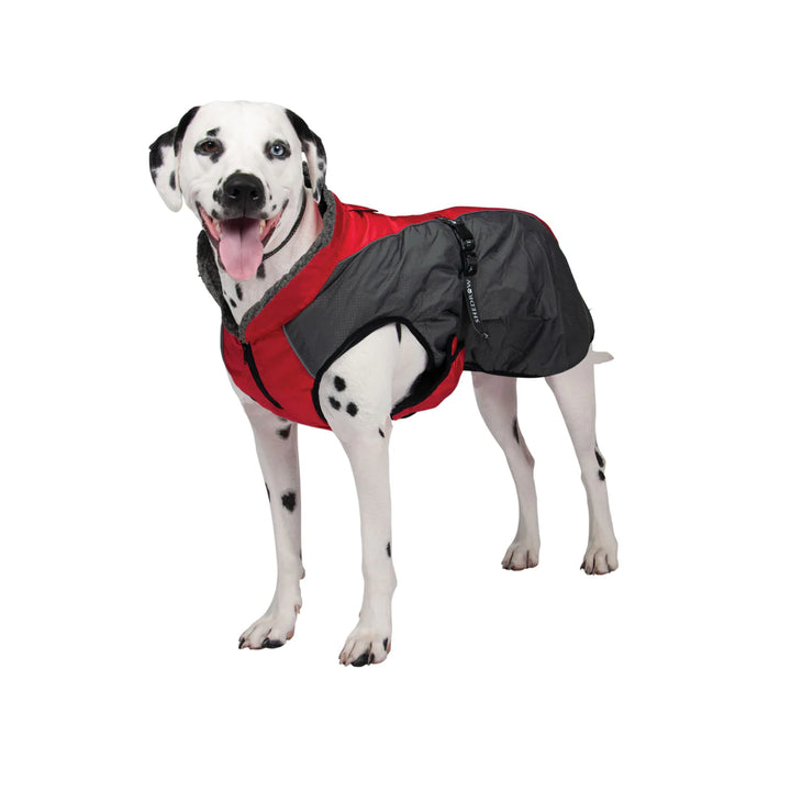 Chinook Dog Coat