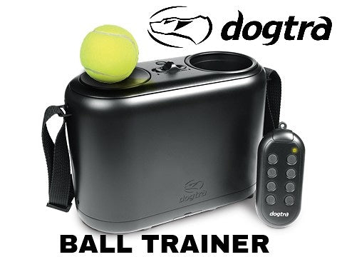 Lanceur de balle dogtra ball trainer