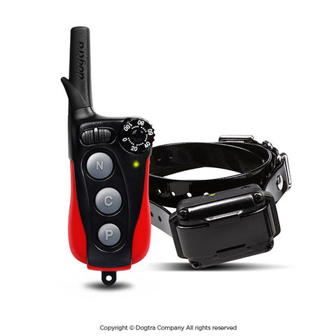 IQ PLUS: Dog Training Collar