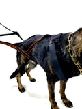 Weight Pulling Dog Harness