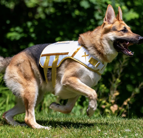 X Dog: Milk & Honey Designer Fitness Vest