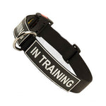 Strong All Weather Nylon Dog Collar with Patches and Quick Release Buckle