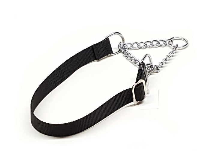 GK9  Martingale Training Collar-Webbing