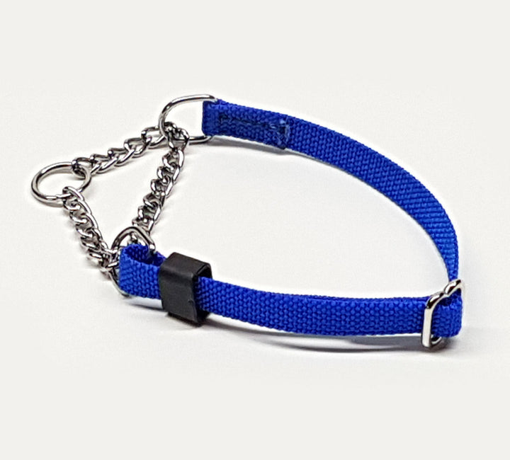 GK9  Martingale Training Collar-Webbing
