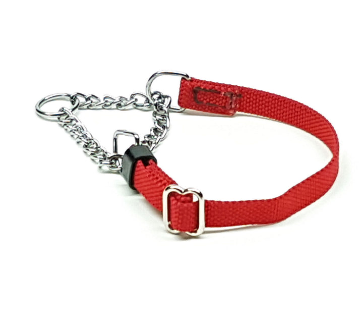 GK9  Martingale Training Collar-Webbing
