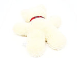 Teddy Bear Plush