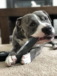 indestructibone Dog Chew Toy