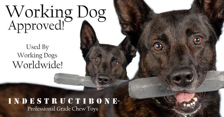 indestructibone Dog Chew Toy