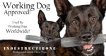 indestructibone Dog Chew Toy